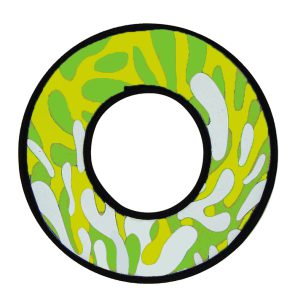 Soak Water Donut Frisbee for Pool & Beach – Family Fun All Summer Long!