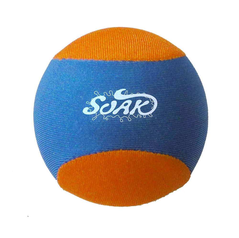 Soak ๐โโ๏ธ๐๏ธ Run, Pass & Score โ Family Bouncing Ball Beach Time!